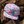 The Flamingo